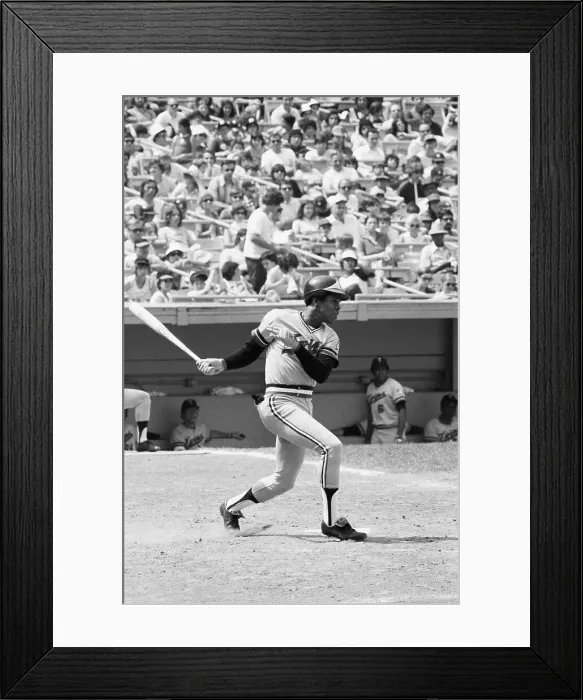Framed Print : Rod Carew Swinging Baseball Bat Framed Print : Rod Carew Swinging Baseball Bat