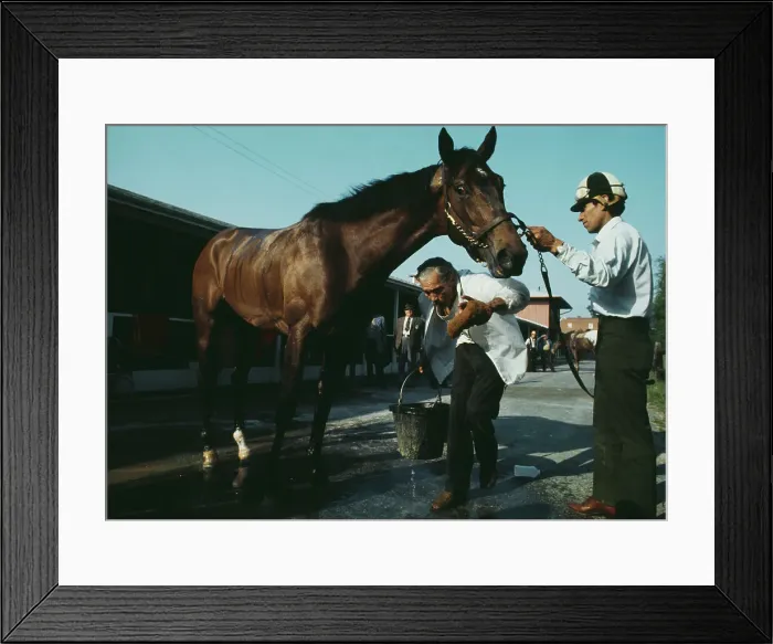 Framed Print : Race Horse Cannonade