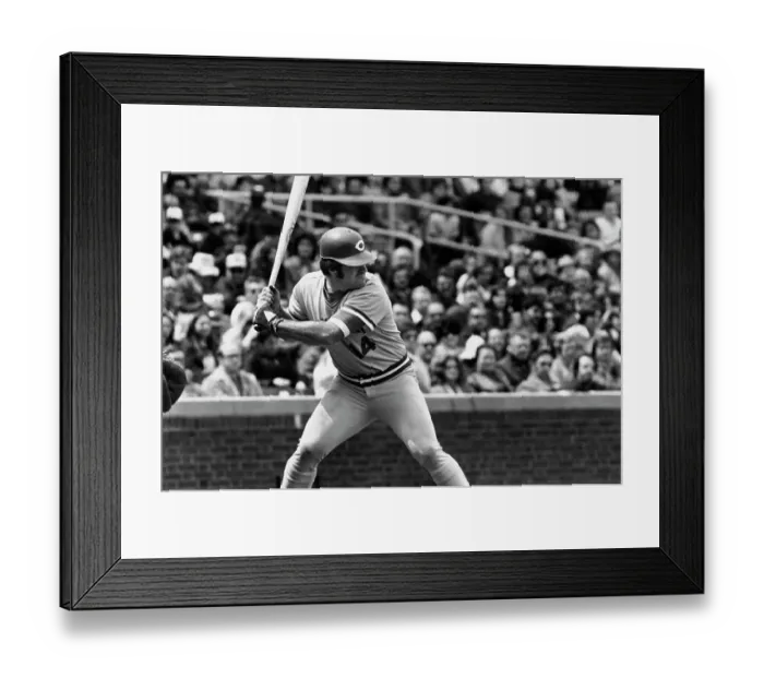 Framed Print : Pete Rose Against Chicago Cubs Framed Print : Pete Rose Against Chicago Cubs