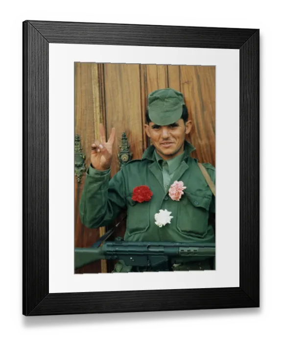 Framed Print : Carnation Revolution Framed Print : Carnation Revolution