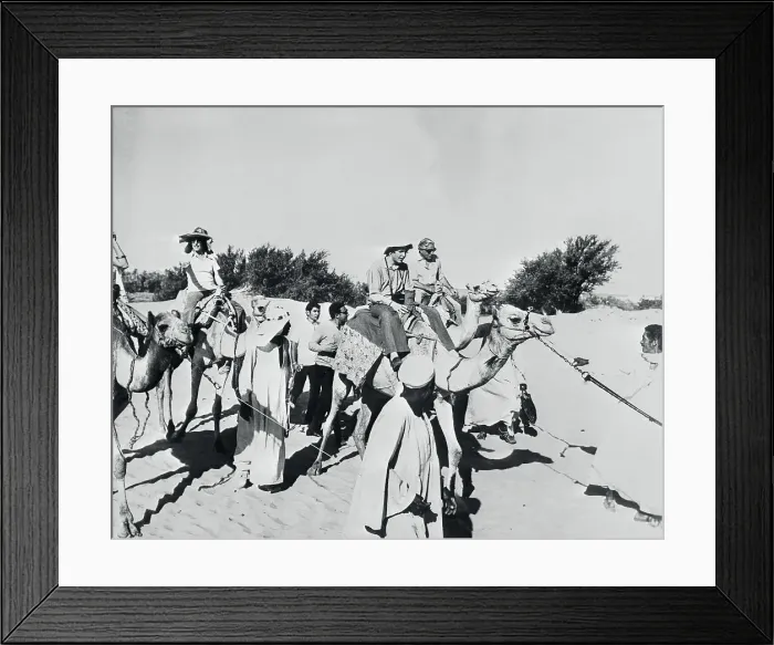 Framed Print : John F. Kennedy Jr. and Aristotle Onassis Riding Camels Framed Print : John F. Kennedy Jr. and Aristotle Onassis Riding Camels