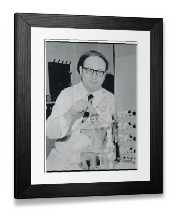 Framed Print : Doctor Adjusting Brain Implant on Monkey Framed Print : Doctor Adjusting Brain Implant on Monkey