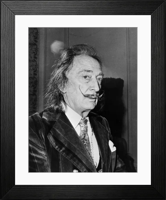 Framed Print : Salvador Dali Framed Print : Salvador Dali