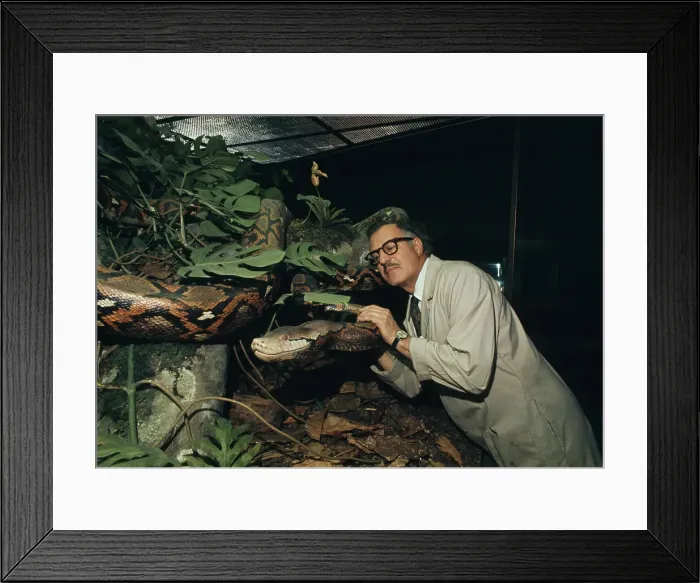 Framed Print : Snake Diorama Framed Print : Snake Diorama