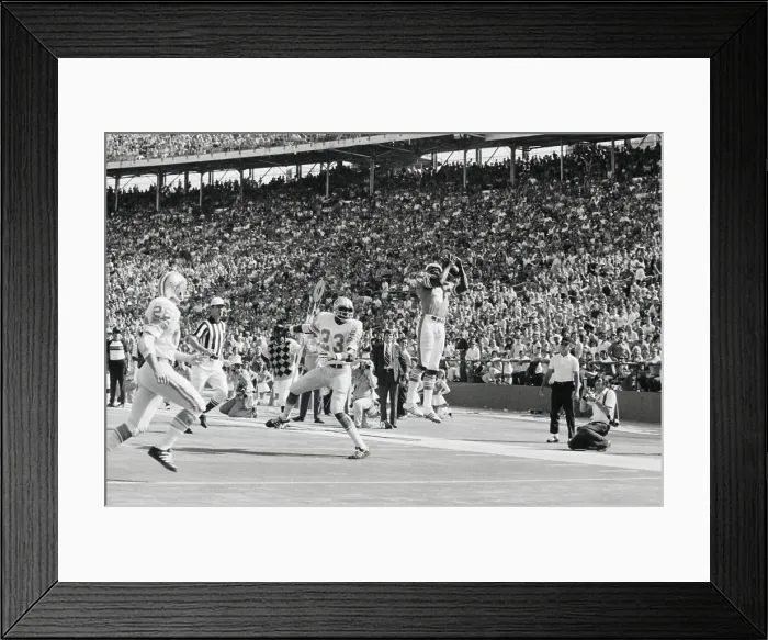 Framed Print : Football Action with The Dolphins and Lions Framed Print : Football Action with The Dolphins and Lions