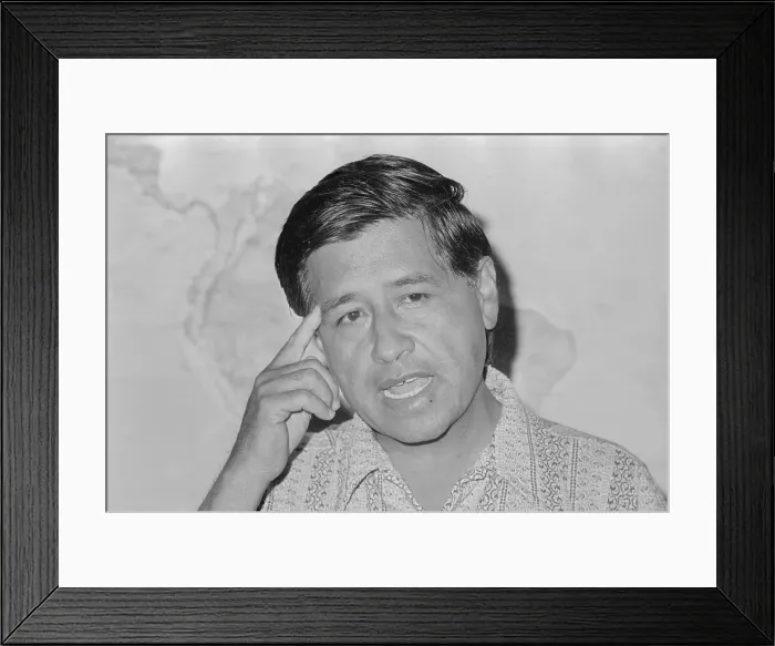 Framed Print : Cesar Chavez Gesturing While Speaking Framed Print : Cesar Chavez Gesturing While Speaking