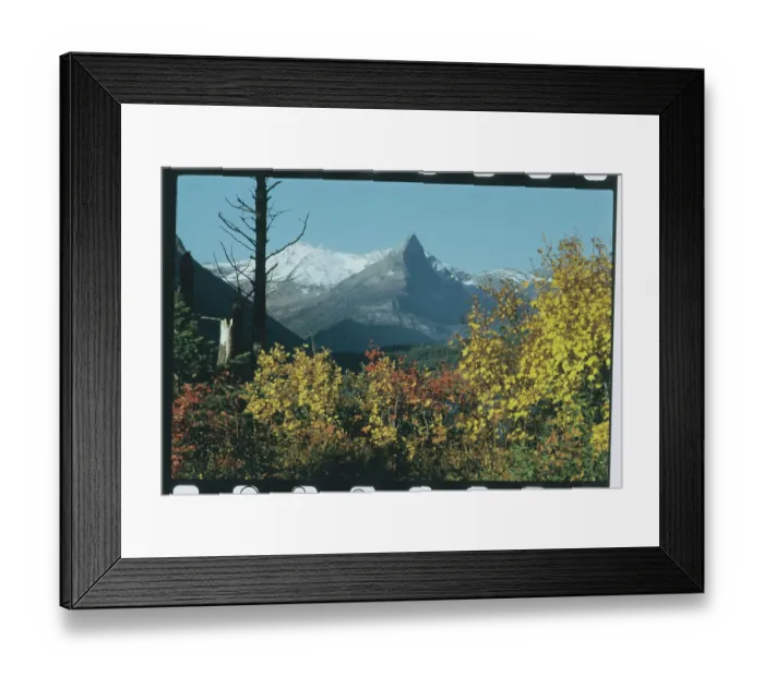 Framed Print : Fall in Montana Framed Print : Fall in Montana