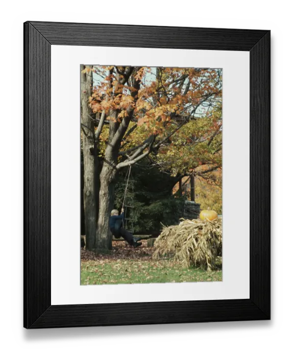 Framed Print : Boy Swinging In Autumnal Garden Framed Print : Boy Swinging In Autumnal Garden