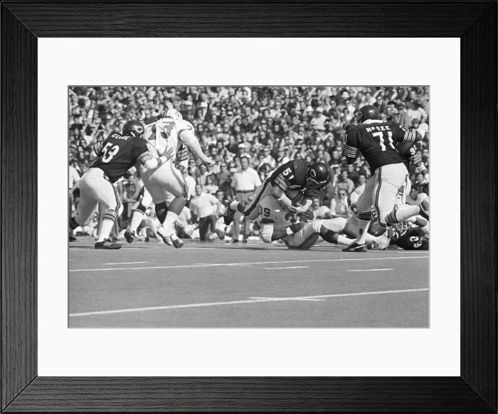 Framed Print : Dick Butkus Tackles Sam Cunningham Framed Print : Dick Butkus Tackles Sam Cunningham