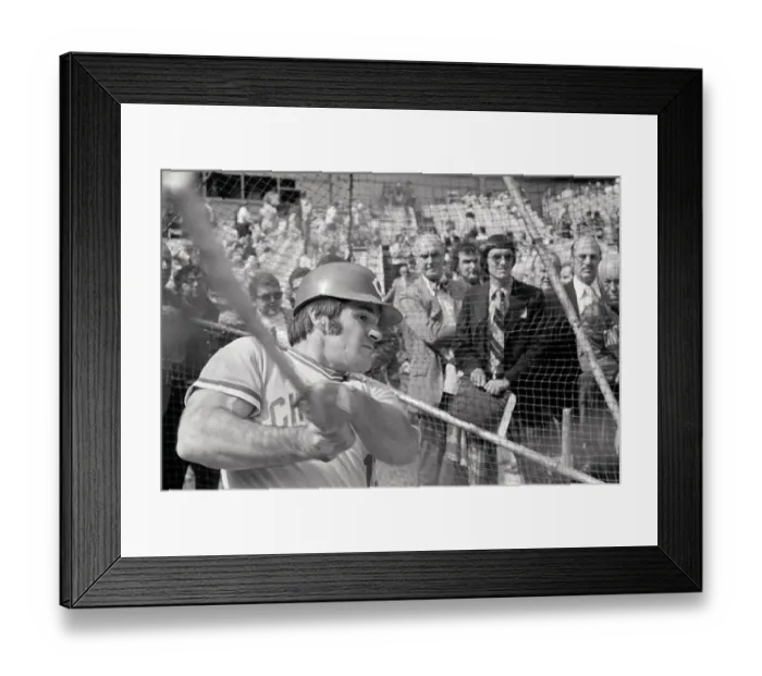 Framed Print : Pete Rose Swinging Bat; Headshoulders Framed Print : Pete Rose Swinging Bat; Headshoulders