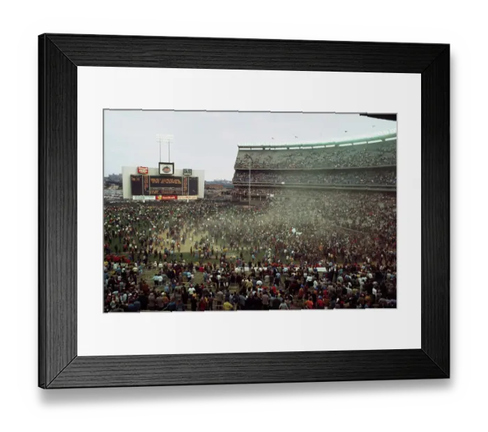 Framed Print : Baseball Fans Celebrating Victory Framed Print : Baseball Fans Celebrating Victory