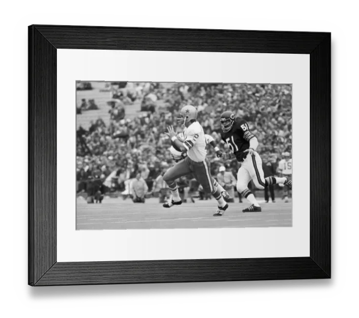 Framed Print : Dick Butkus Chases Quarterback Roger Staubach