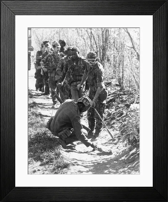 Framed Print : Troops On Patrol Uncover Land Mine Framed Print : Troops On Patrol Uncover Land Mine