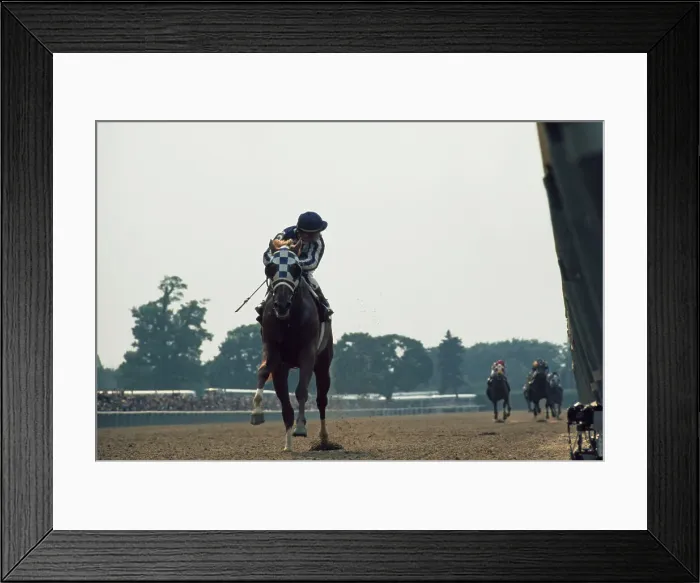 Framed Print : 1973 Belmont Stakes Framed Print : 1973 Belmont Stakes
