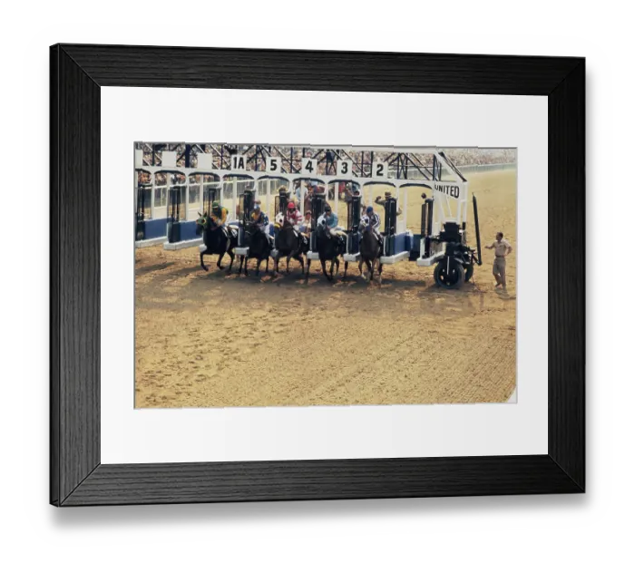 Framed Print : 1973 Belmont Stakes Framed Print : 1973 Belmont Stakes