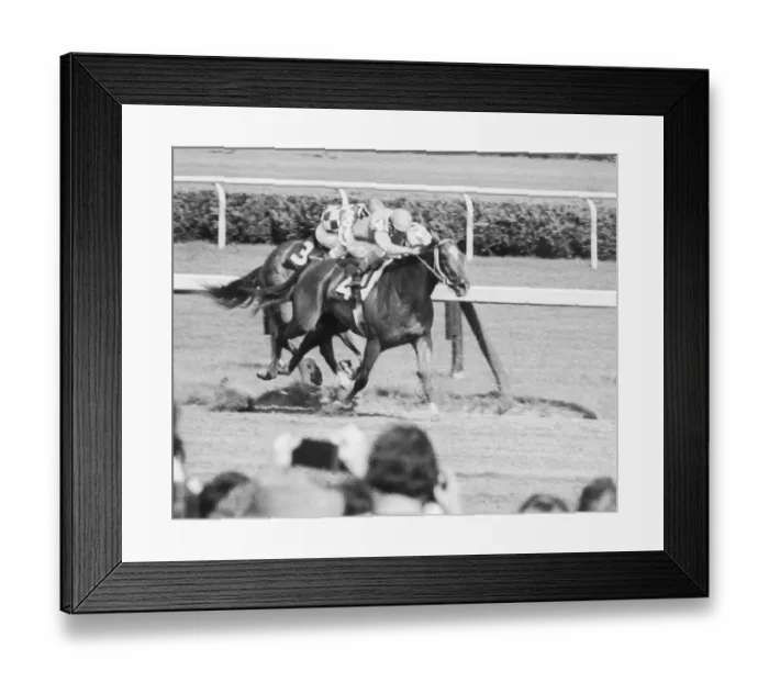 Framed Print : Running of the Whitney Stakes at Saratoga Framed Print : Running of the Whitney Stakes at Saratoga