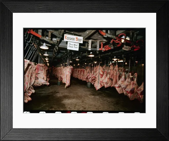 Framed Print : Meat Hanging from Hooks Framed Print : Meat Hanging from Hooks