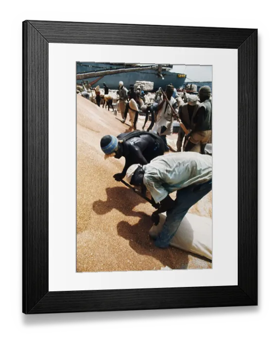 Framed Print : Dock Workers Sacking Grain