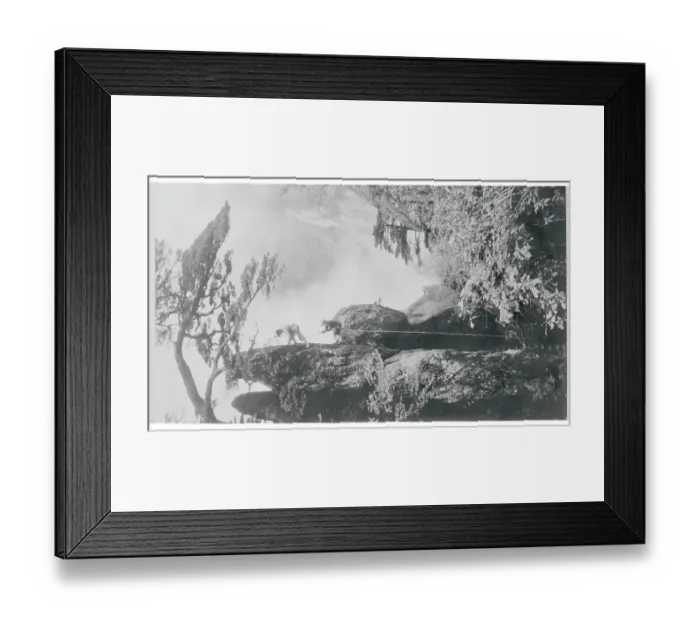 Framed Print : Chinese Searching for Herbs Framed Print : Chinese Searching for Herbs