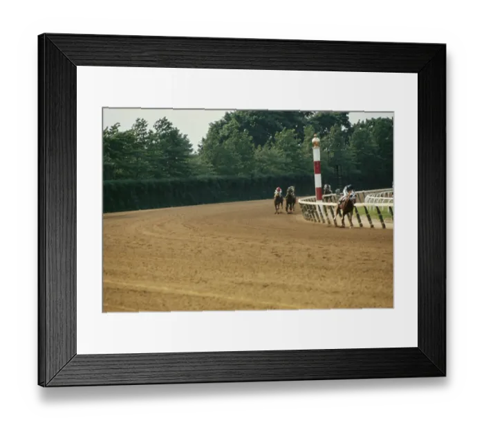 Framed Print : 105th Belmont Stakes, Belmont Park Framed Print : 105th Belmont Stakes, Belmont Park