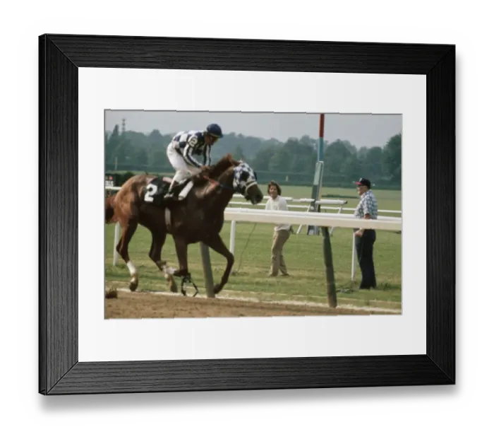 Framed Print : 105th Belmont Stakes, Belmont Park Framed Print : 105th Belmont Stakes, Belmont Park