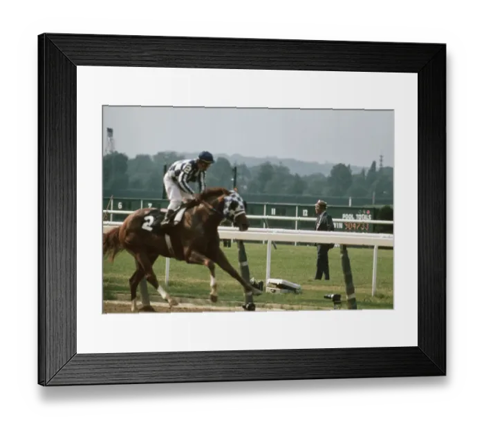 Framed Print : 105th Belmont Stakes, Belmont Park Framed Print : 105th Belmont Stakes, Belmont Park