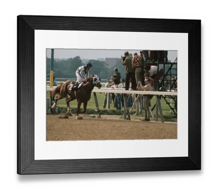 Framed Print : 105th Belmont Stakes, Belmont Park Framed Print : 105th Belmont Stakes, Belmont Park