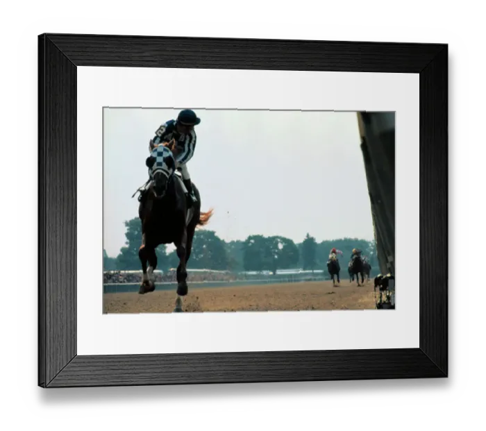 Framed Print : Secretariat Winning the Triple Crown Framed Print : Secretariat Winning the Triple Crown