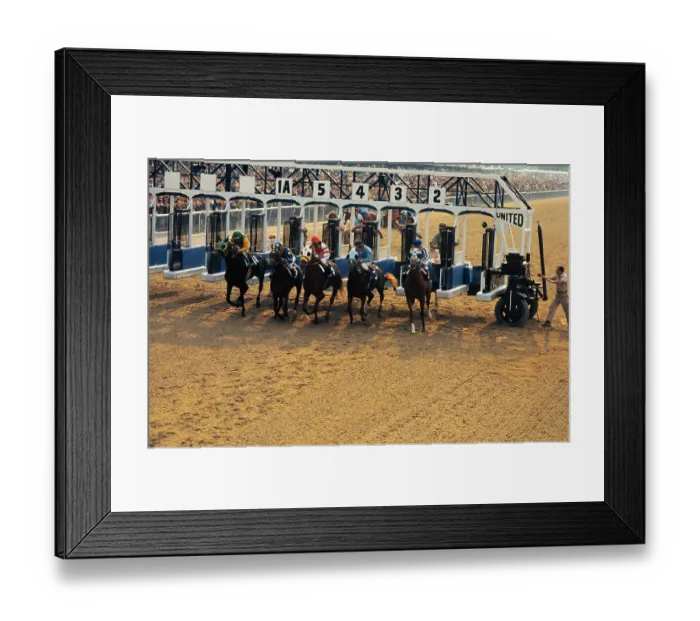 Framed Print : Horses Running out of the Starting Gate Framed Print : Horses Running out of the Starting Gate