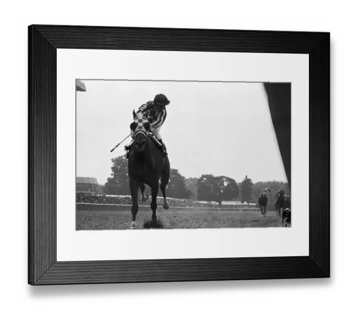 Framed Print : Secretariat Winning the Triple Crown at Belmont Framed Print : Secretariat Winning the Triple Crown at Belmont