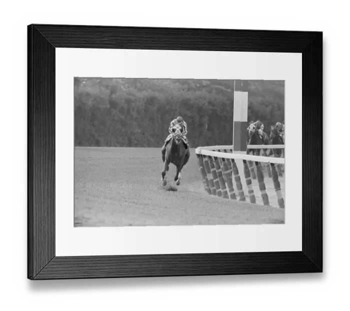 Framed Print : Secretariat Flies Around Final Corner Framed Print : Secretariat Flies Around Final Corner