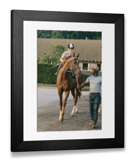 Framed Print : Secretariat, American Racehorse Framed Print : Secretariat, American Racehorse