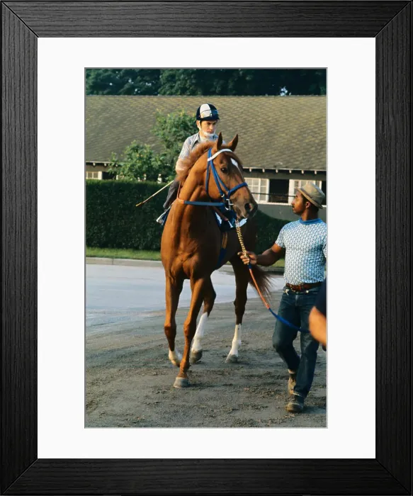Framed Print : Secretariat Running Alongside Track Framed Print : Secretariat Running Alongside Track