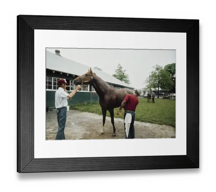 Framed Print : Secretariat, American Racehorse Framed Print : Secretariat, American Racehorse