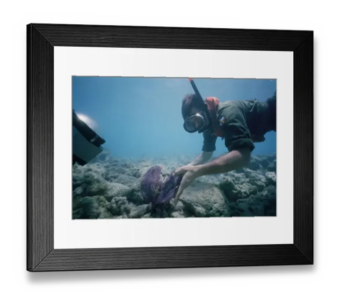 Framed Print : Army ROTC cadet Kenneth M. Wejack Framed Print : Army ROTC cadet Kenneth M. Wejack