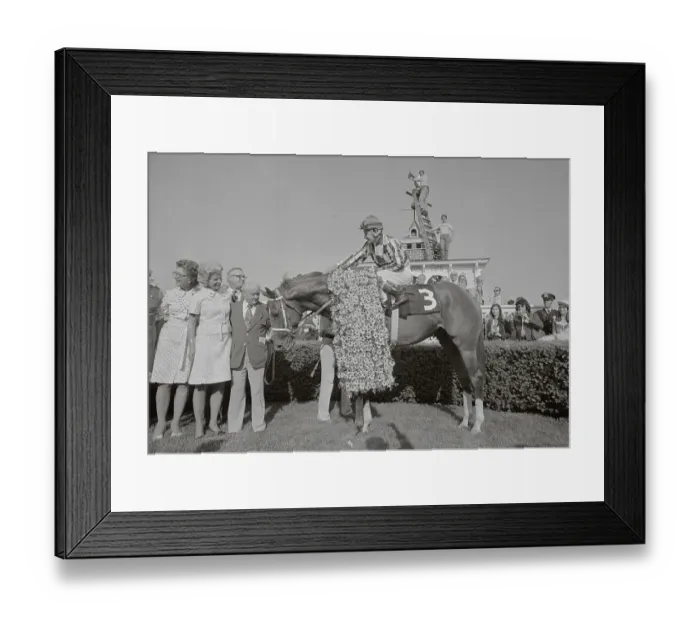 Framed Print : Secretariat the Horse in the Spotlight Framed Print : Secretariat the Horse in the Spotlight