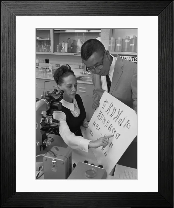 Framed Print : Researchers Observing Chart of Genes Framed Print : Researchers Observing Chart of Genes