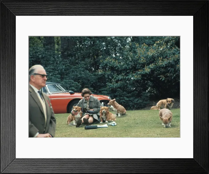Framed Print : Queen Elizabeth II Sitting with Dogs
