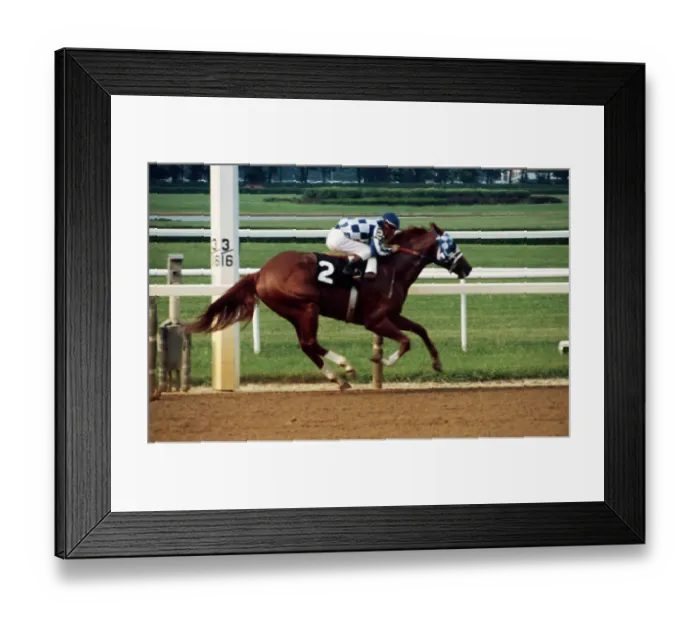 Framed Print : Secretariat Running on Track Framed Print : Secretariat Running on Track