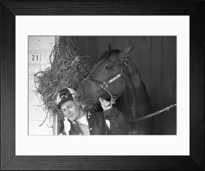 Framed Print : Ron Turcotte Playing with Secretariat Framed Print : Ron Turcotte Playing with Secretariat