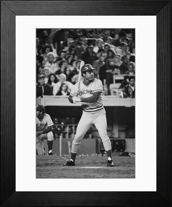 Framed Print : Tony Perez at Bat Framed Print : Tony Perez at Bat