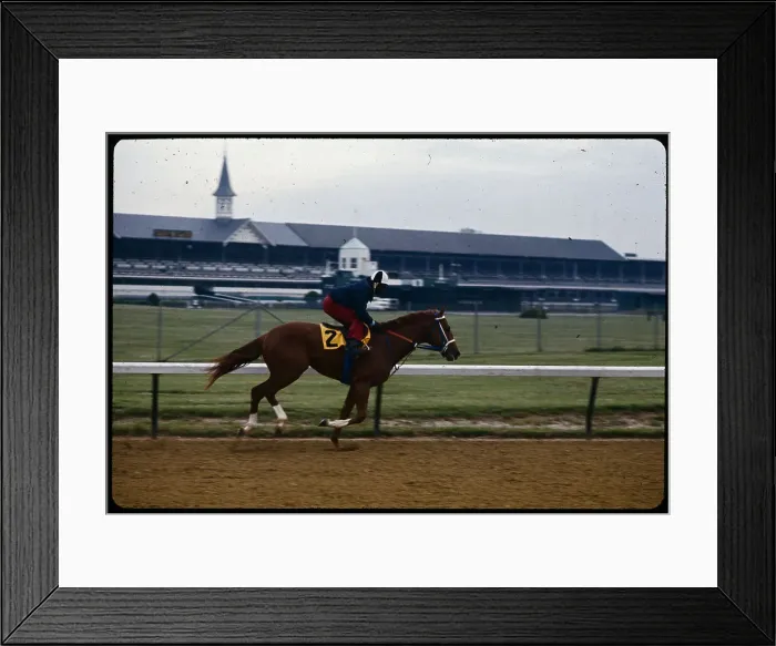 Framed Print : Secretariat Running on Track