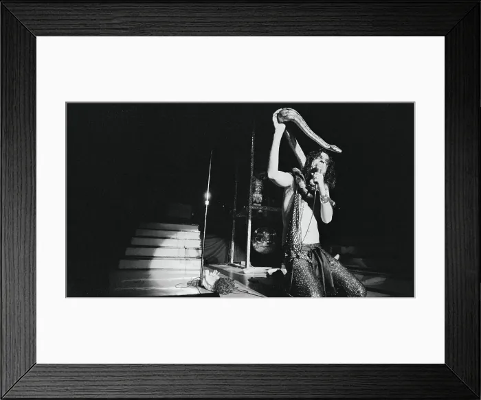 Framed Print : Alice Cooper Performing with a Boa Constrictor Framed Print : Alice Cooper Performing with a Boa Constrictor