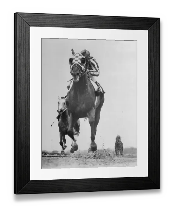 Framed Print : Secretariat Winning at the Finish Line Framed Print : Secretariat Winning at the Finish Line