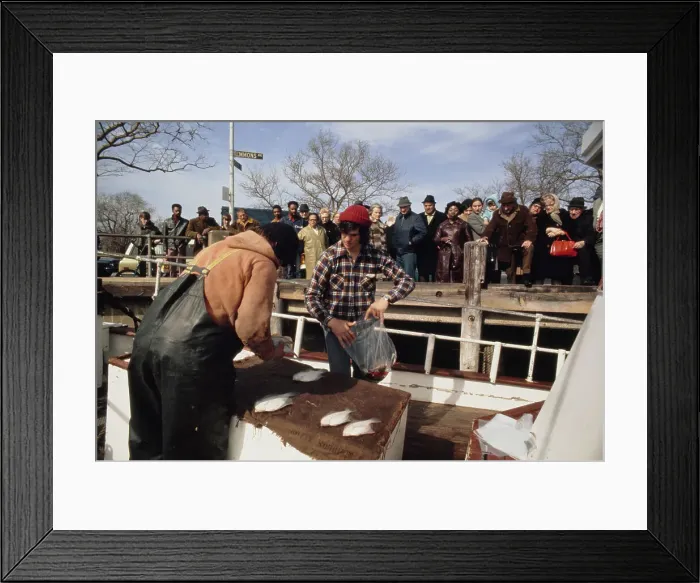 Framed Print : Residents of Sheepshead Bay section of Brooklyn Framed Print : Residents of Sheepshead Bay section of Brooklyn