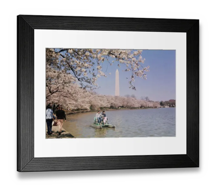 Framed Print : Spring is in the air Framed Print : Spring is in the air