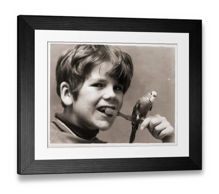 Framed Print : Boy Brushing Teeth with Bird on Toothbrush Framed Print : Boy Brushing Teeth with Bird on Toothbrush