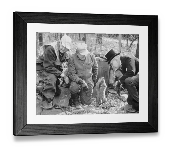 Framed Print : Groundhog Casting His Shadow Framed Print : Groundhog Casting His Shadow