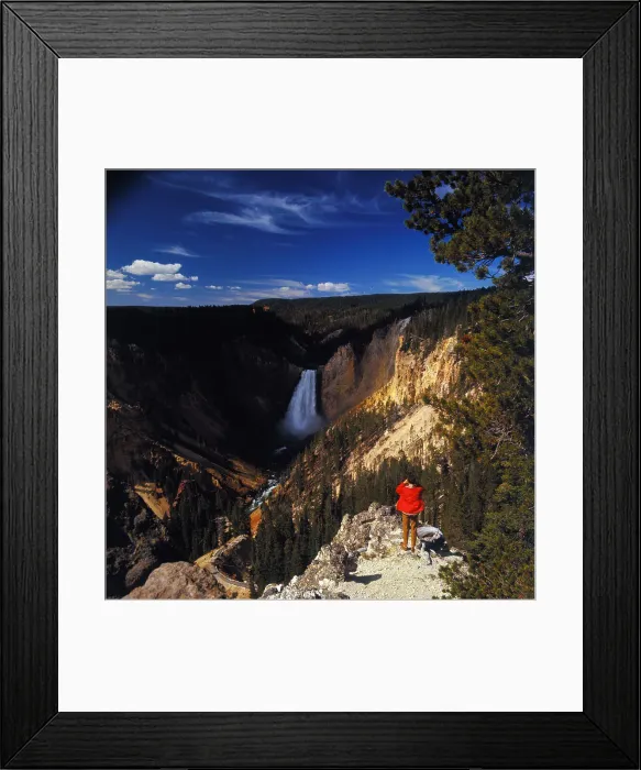 Framed Print : The Lower Falls of Yellowstone Framed Print : The Lower Falls of Yellowstone