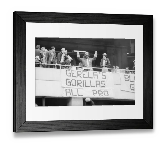 Framed Print : Steeler Mania Framed Print : Steeler Mania